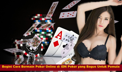 Begini Cara Bermain Poker Online di IDN Poker yang Bagus Untuk Pemula